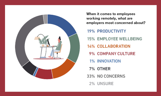 Remote Working Concerns